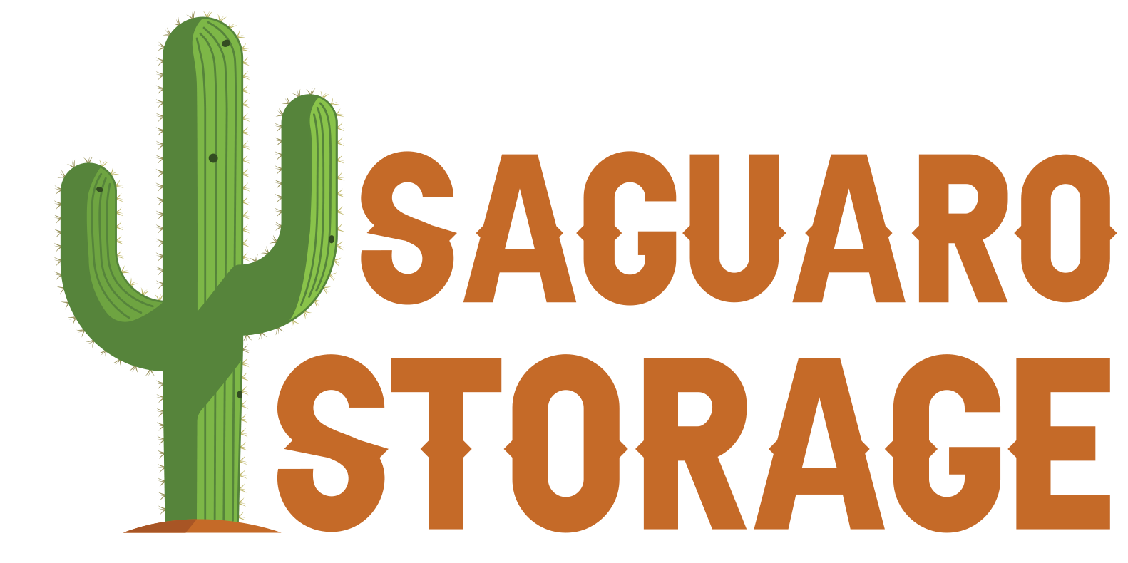 Saguaro Storage